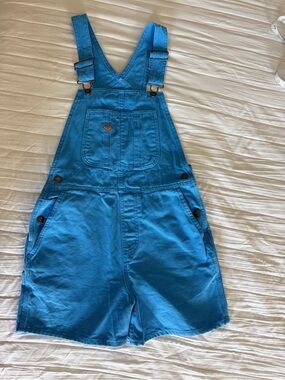 Dickies Light Blue overalls shorts